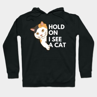 Hold on I see a cat Hoodie